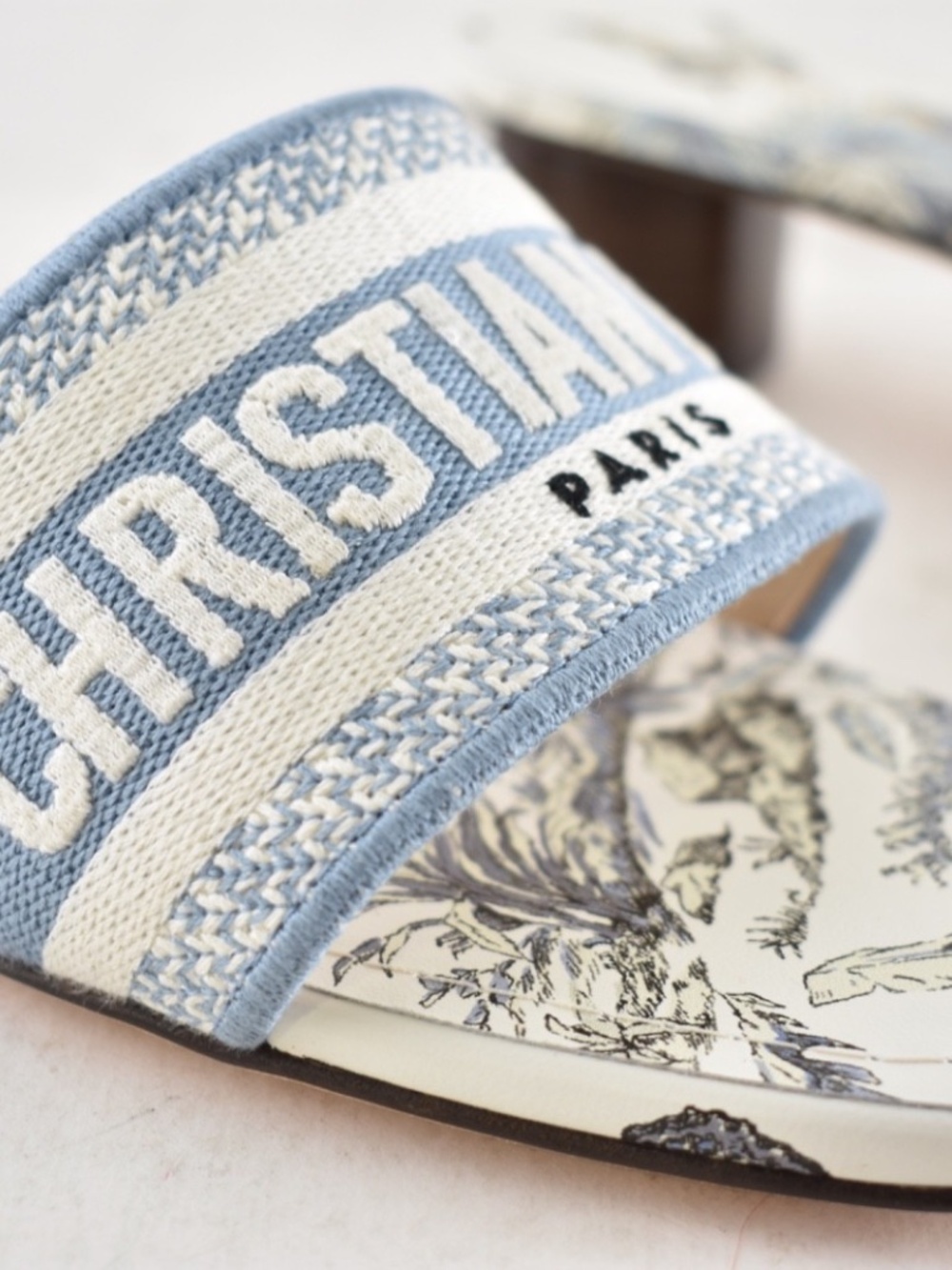 Christian Dior Dway Heeled Slide Blue White TDJ Palms Logo Heel Sandal 41 - Picture 6 of 8